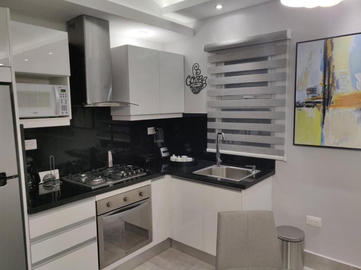 Soha Suites II 산티아고 데 로스 카바예로스 외부 사진